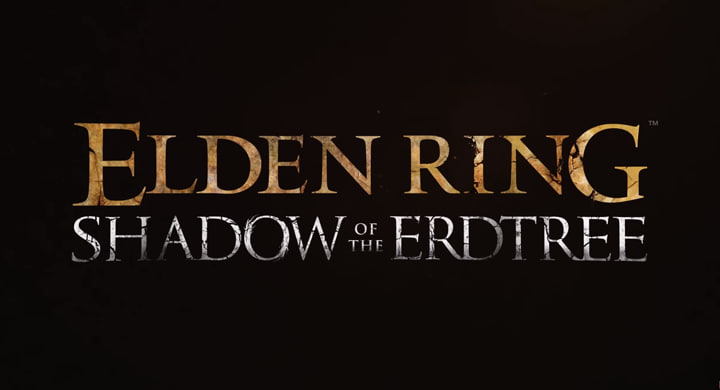 Стримеру удалось убить финального босса Elden Ring: Shadow of the Erdtree одним ударом