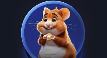 В Сети появилось новое комбо для Hamster Kombat на 22 и 23 августа