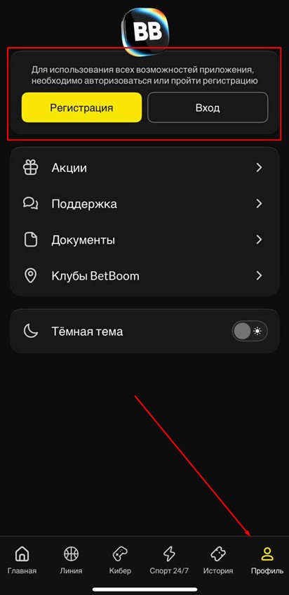 Вход и регистрация в приложении BetBoom