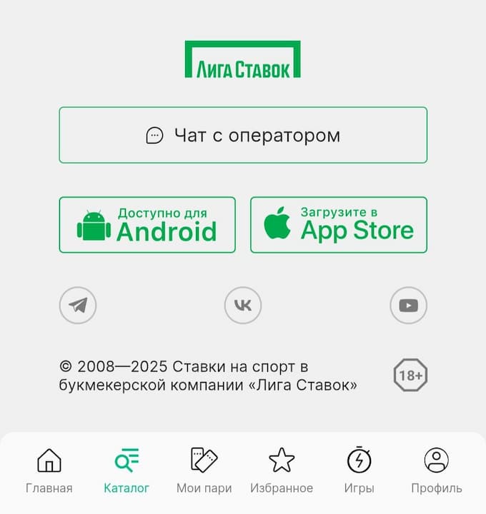 Лига ставок футер