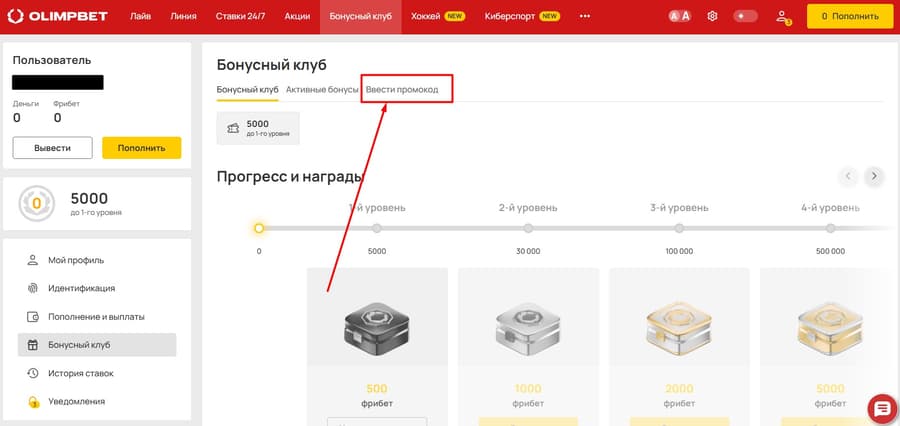 Нажмите «Ввести промокод».
