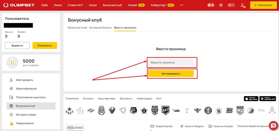 В пустой строке введите бонус-комбинацию, а затем кликните «Активировать».