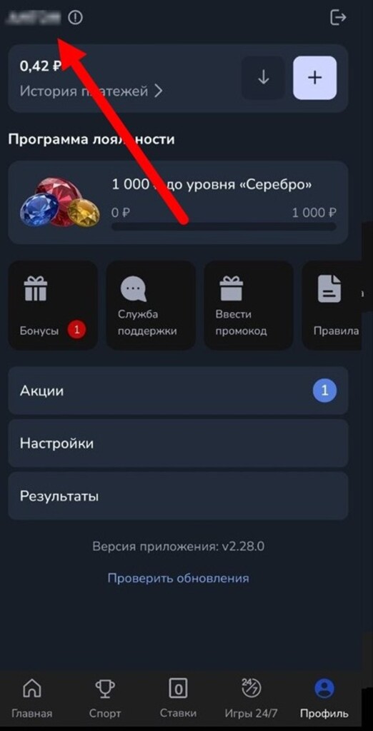 Профиль и программа лояльности Зенит