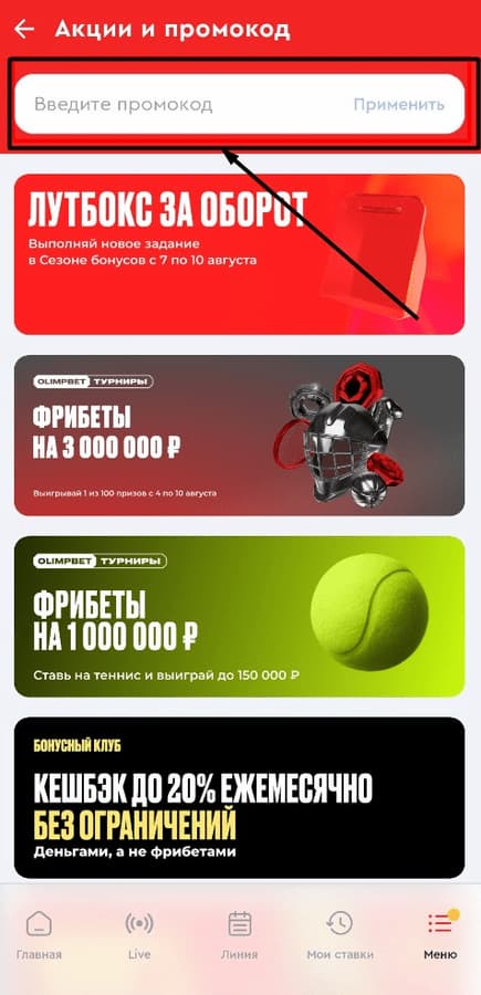 Введите промокод на Олимпе