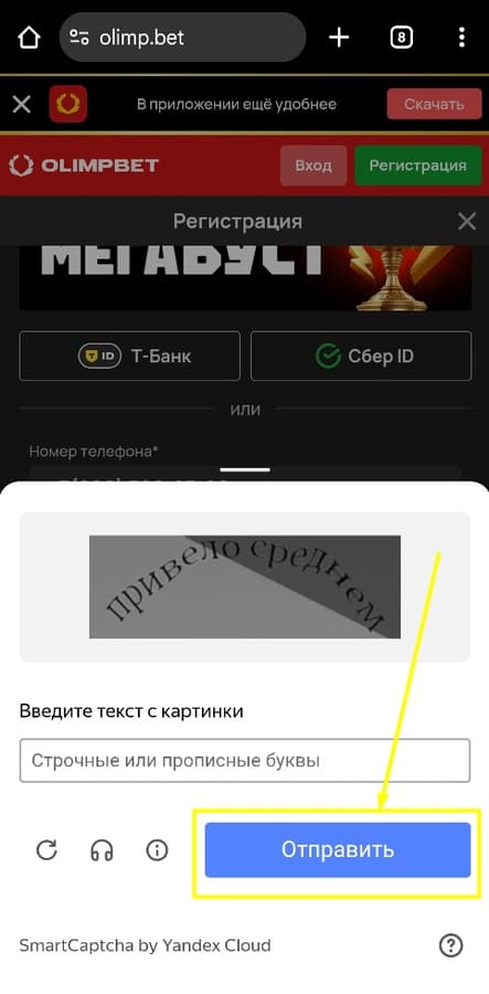 Пройдите капчу.