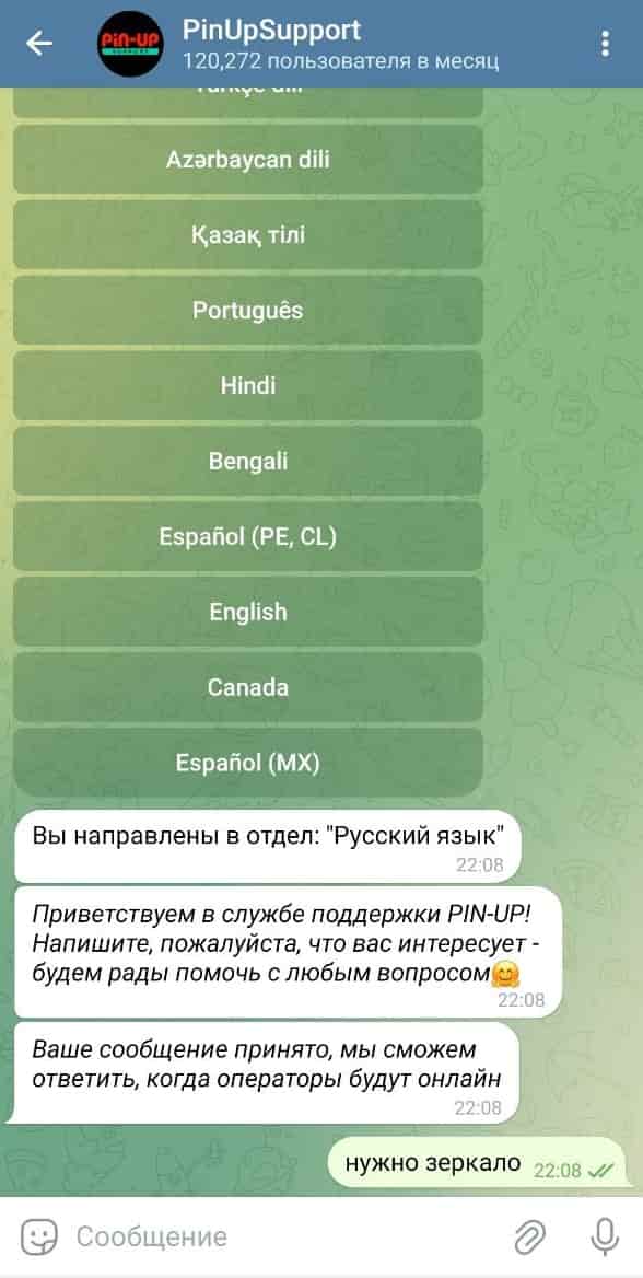 пин ап
