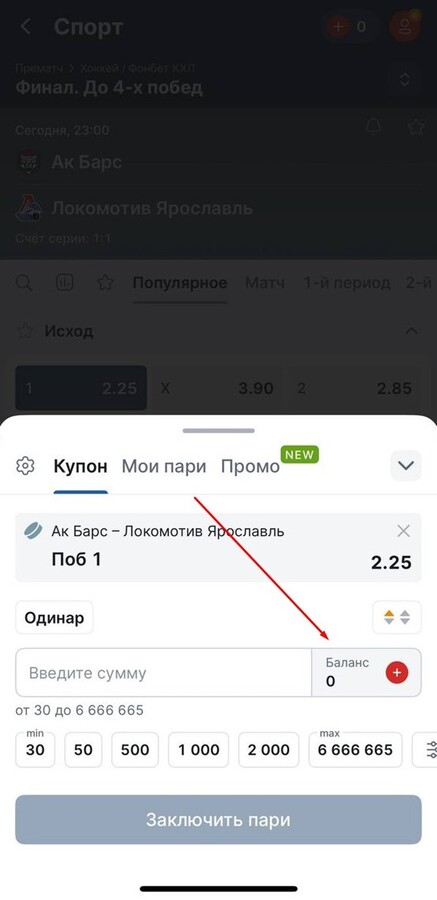 Купон ставки на хоккей в БК Фонбет