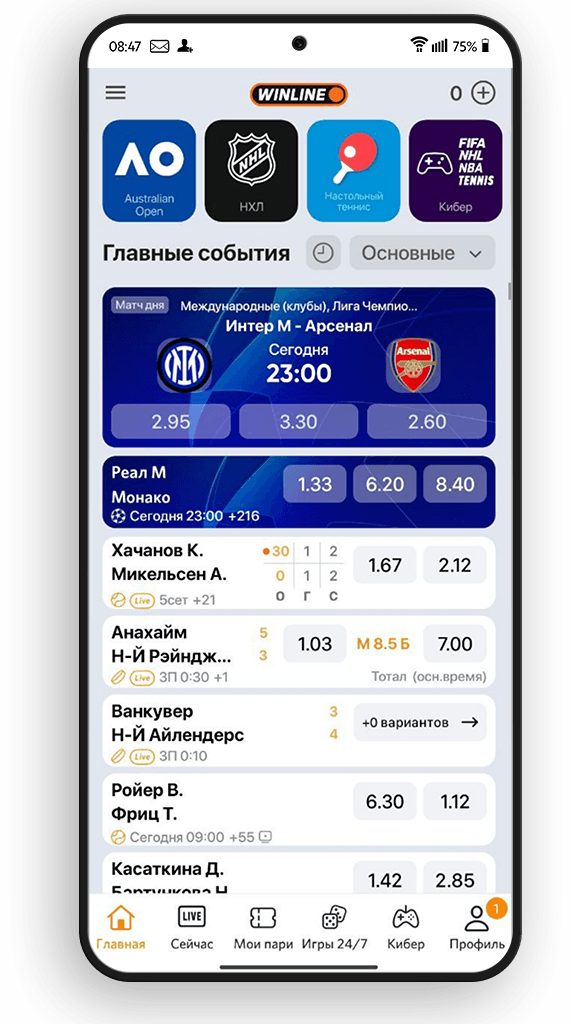 Интерфейс БК Винлайн