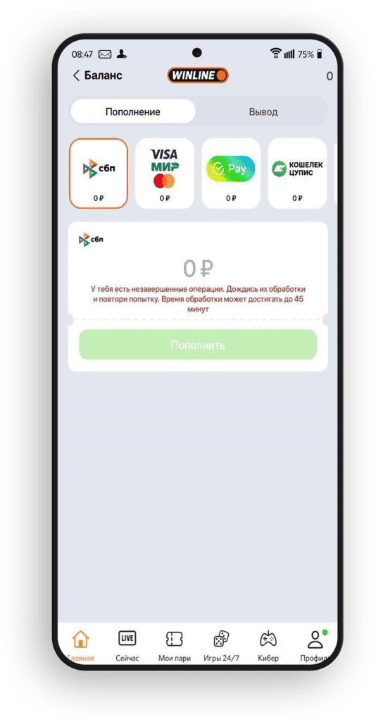 Обработка платежей на БК Винлайн