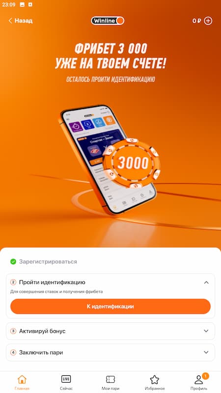 Бонус за установку