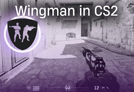 Игровой режим «Wingman»