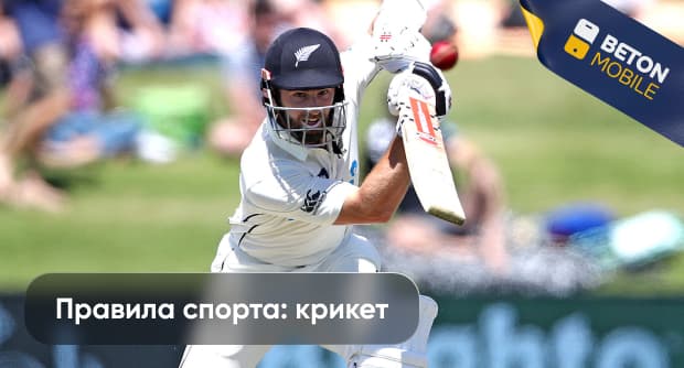 Основные правила игры в крикет