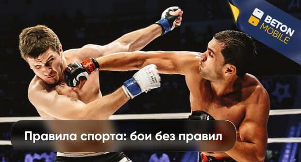 Правила в боях без правил: что нужно знать