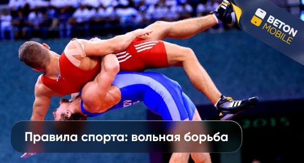 Правила вольной борьбы: что нужно знать