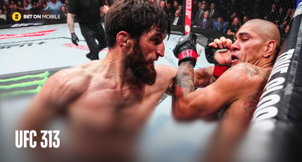 UFC 313: момент истины для Анкалаева и возвращение Физиева