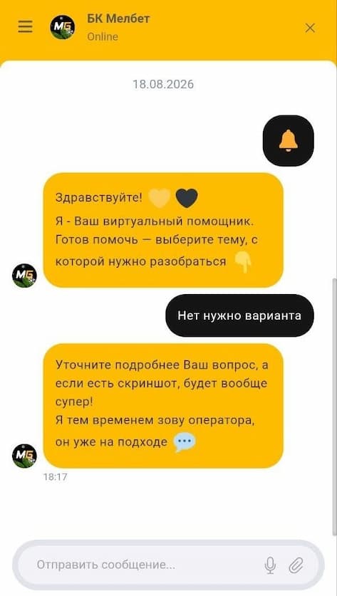 служба технической поддержки Melbet