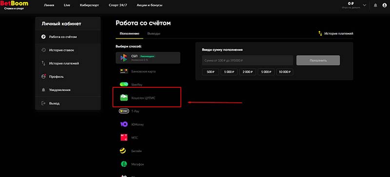 Пополните аккаунт через ЦУПИС кошелек на БетБум
