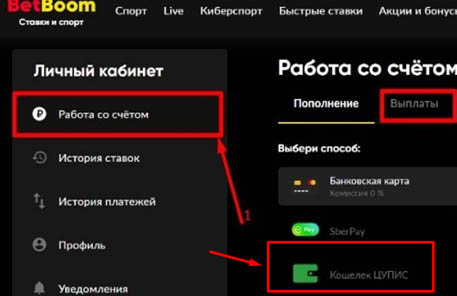 Выберите кошелек ЦУПИС для вывода на БетБум