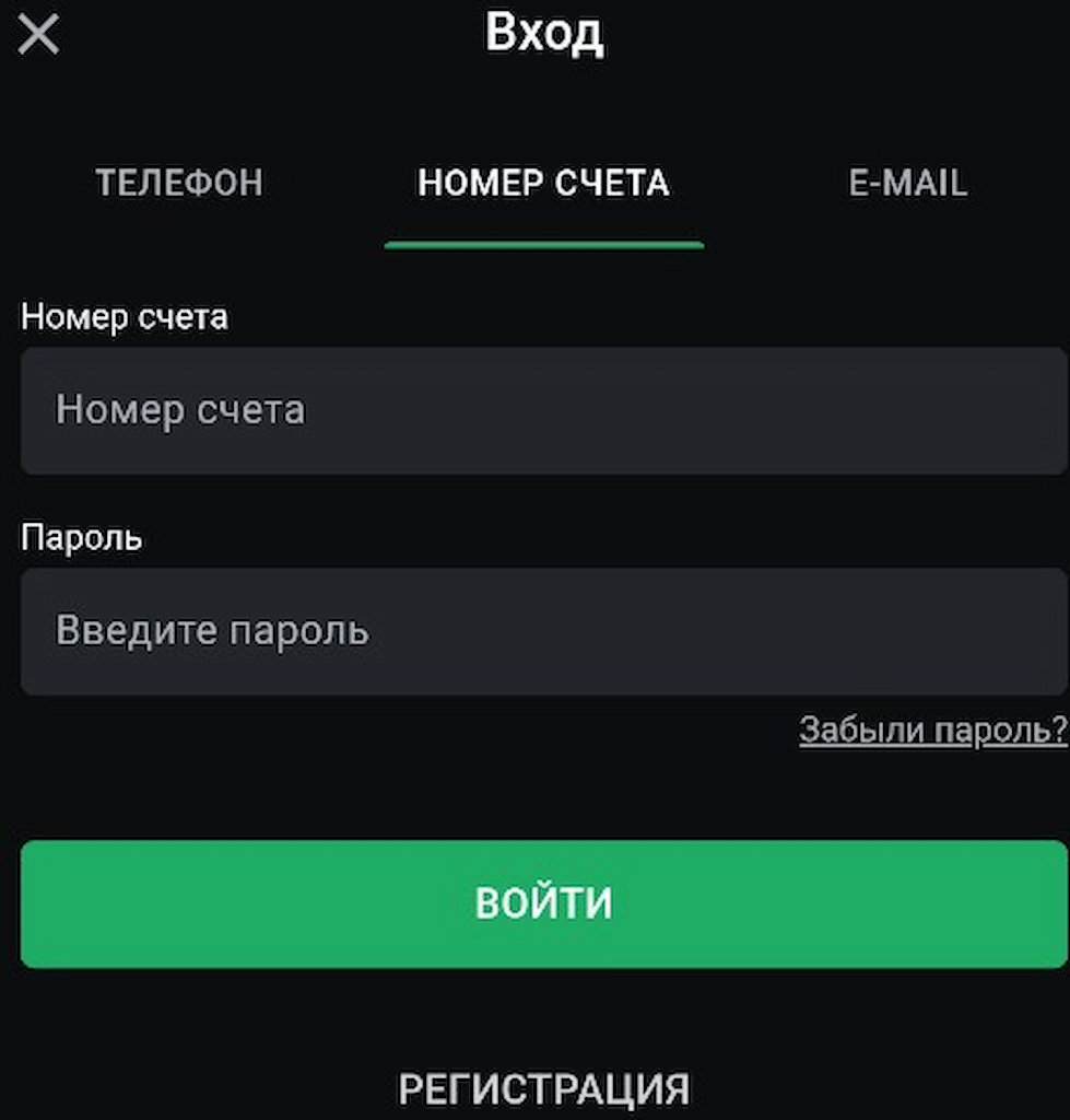 Выберите метод авторизации в мобильном приложении Leon