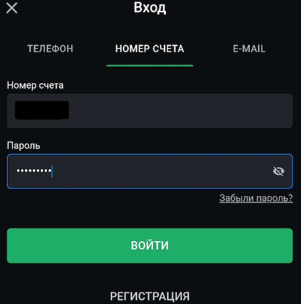 Введите данные для входа в приложении Leon