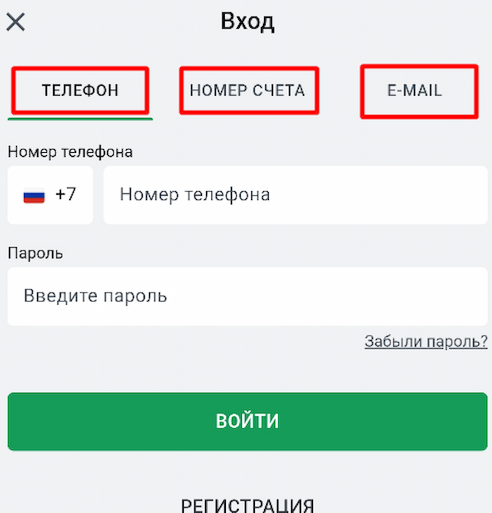 Выберите метод авторизации в мобильной версии сайта Leon