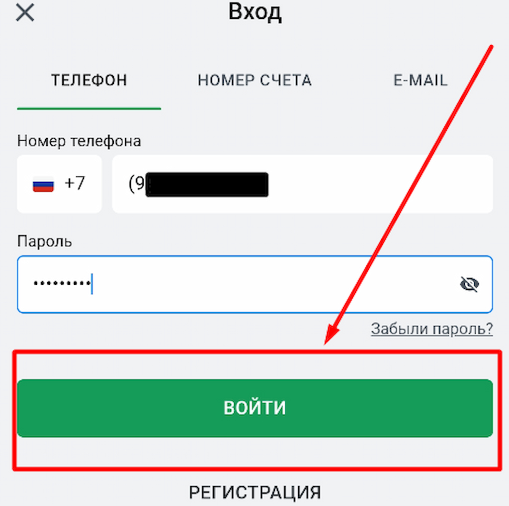Введите данные для входа в мобильной версии сайта Leon