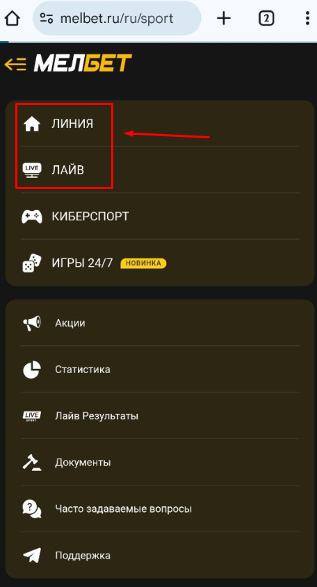 Перейдите в раздел ставок Мелбет