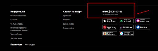 Позвоните в поддержку BetBoom
