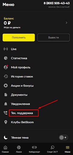 Напишите в техподдержку БетБум
