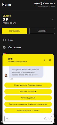 Напишите оператору БетБум