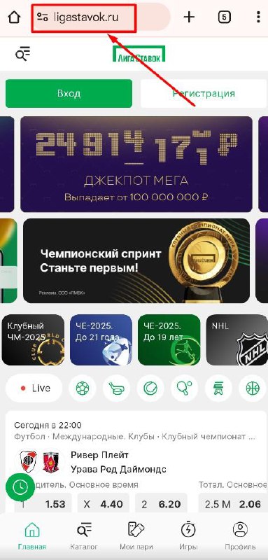 Вход в Liga Stavok