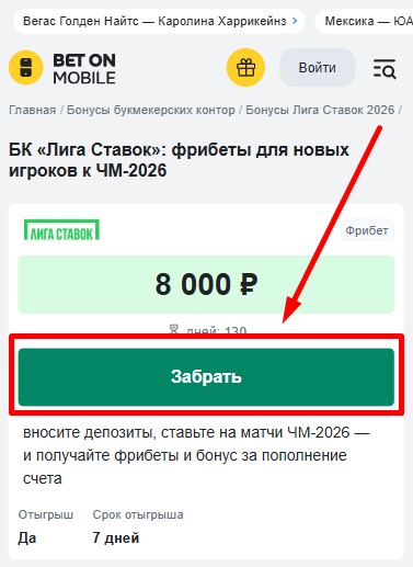 Фрибет 8000 рублей в БК Лига Ставок