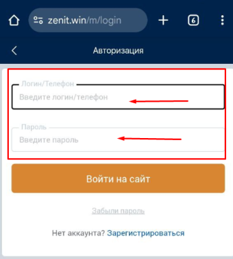Авторизация в зенит