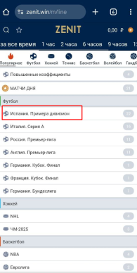 Фильтр по виду спорта и строка поиск в zenit