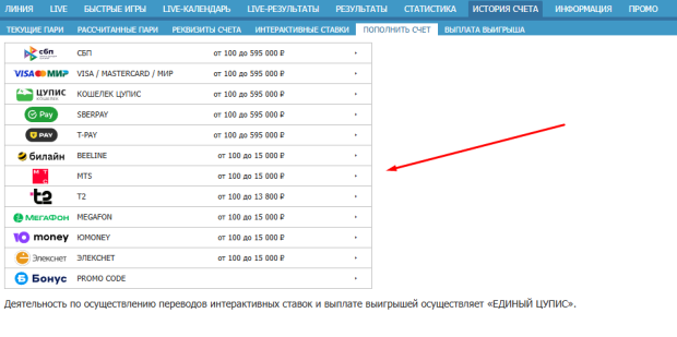 Пополните аккаунт через сайт БК Бетсити