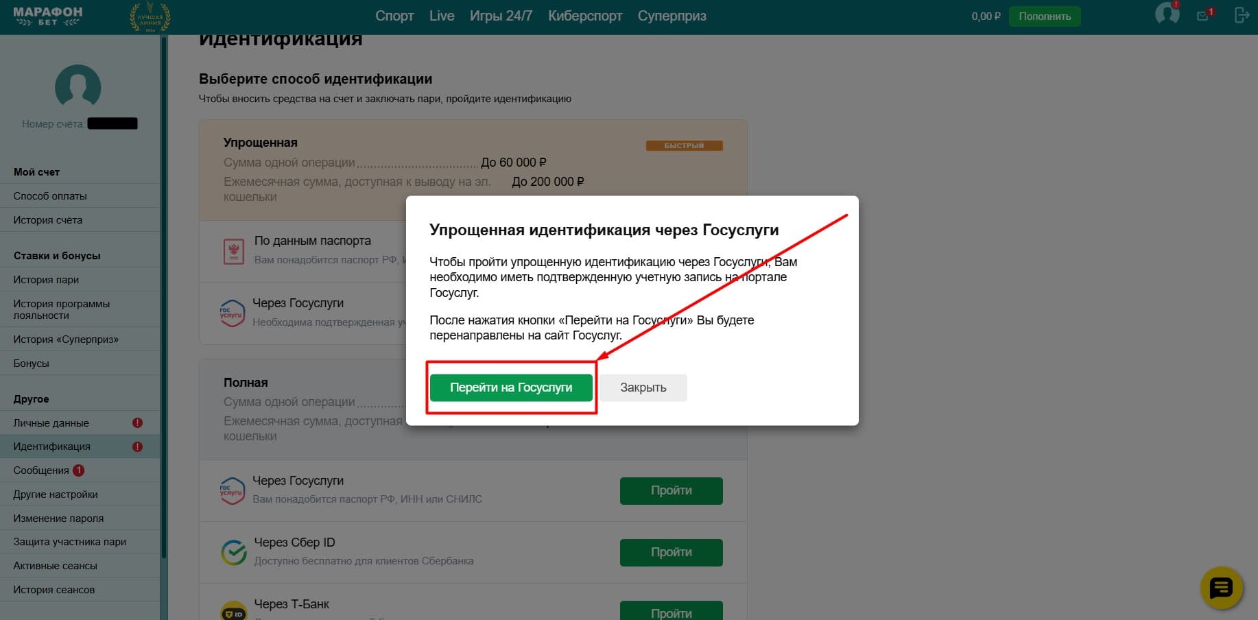 Затем тапните «Перейти на Госуслуги».