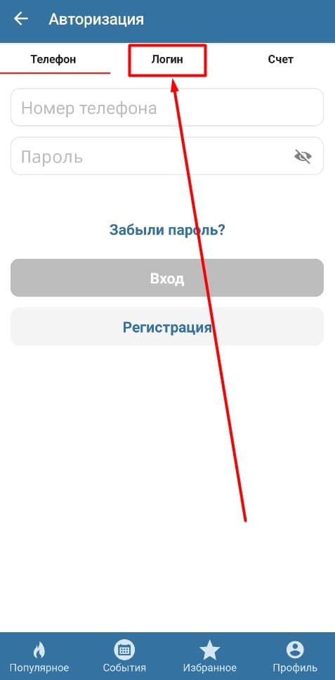 Выберите способ авторизации. На этот раз мы войдем в аккаунт не по телефону, а по логину. Для этого необходимо кликнуть на соответствующую вкладку.
