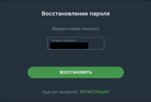 Введите номер паспорта для восстановления пароля на Baltbet