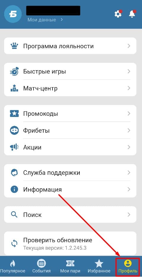 В приложении «Бетсити» личный кабинет устроен уже более привычно: разделы более систематизированы и упорядочены. Чтобы попасть в профиль, необходимо нажать на одноименную кнопку в правой нижней части экрана. После этого откроются все основные категории ЛК.