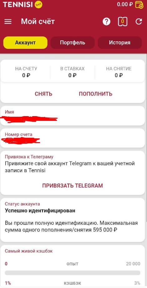 Личный кабинет в мобильной версии Tennisi