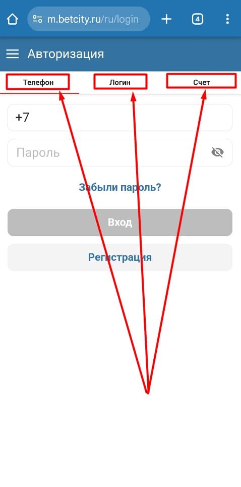 Выберите способ входа в ЛК: по номеру телефона, логину либо счету.