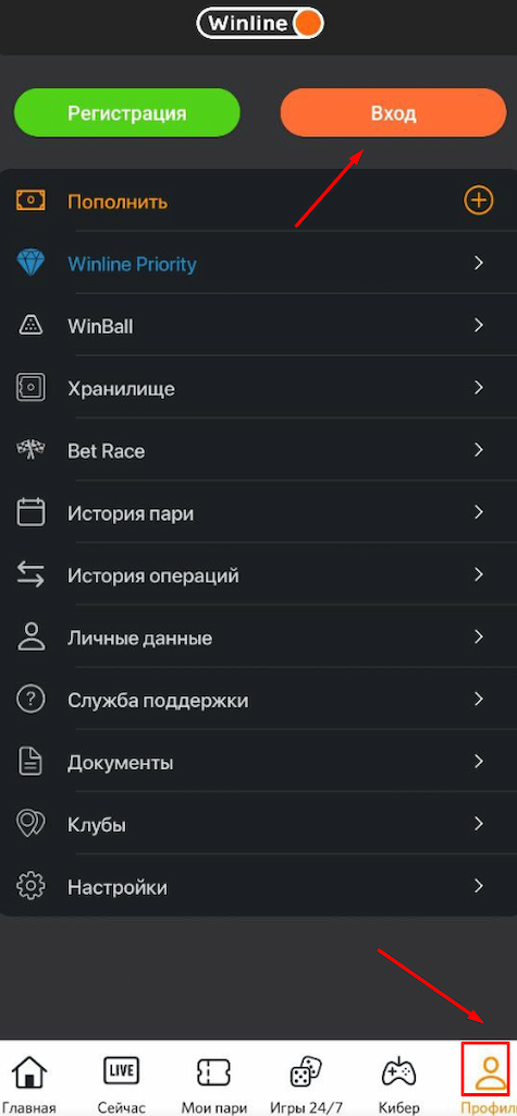 Авторизуйтесь в приложении Винлайн