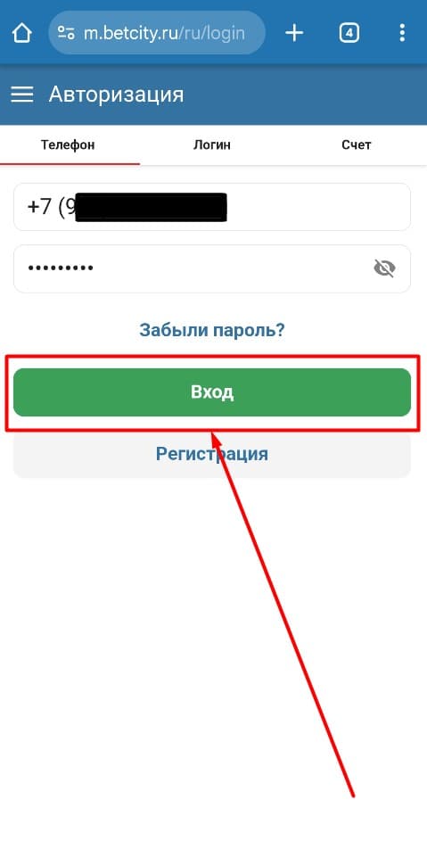 Укажите персональные данные и кликните иконку «Вход».