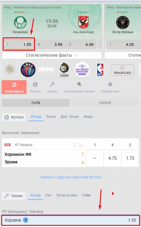 Как делать ставки Балтбет