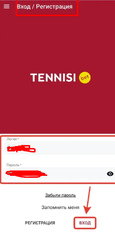 Вход в личный кабинет в мобильном приложении tennisi