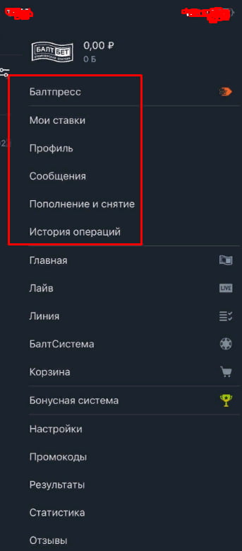 Функционал мобильной версии baltbet