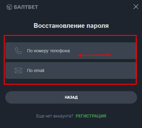Способов восстановления пароля baltbet