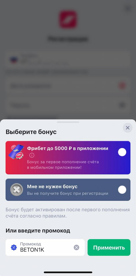 Выбор бонуса и ввод промокода 