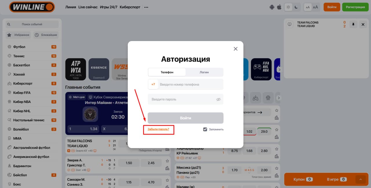 Винлайн авторизация