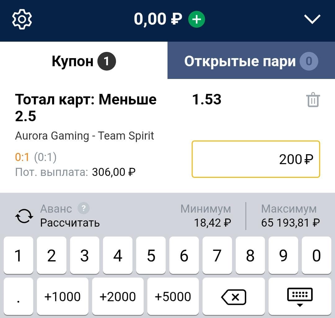 Введите сумму (минимальная ставка — 20 рублей) и подтвердите ставку.